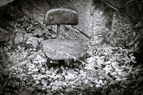 black and white photo of an abandoned chair