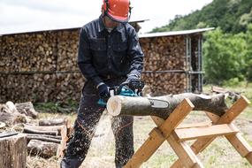 Chainsaw Worker person