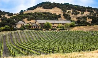 farm with Vineyard on hill side, usa, California