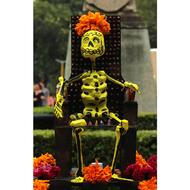 funny Grim Reaper