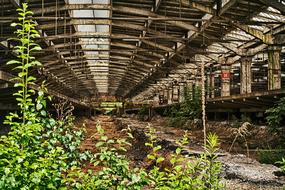 Industry Wood