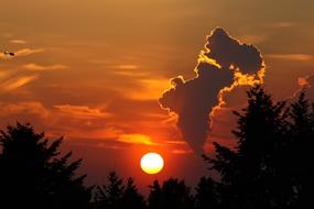Industrial Exhaust Gases