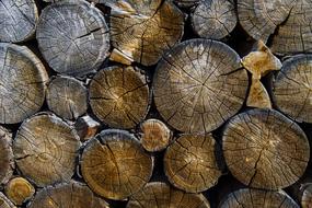 Lumber Timber