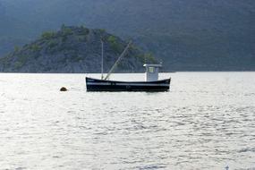 fishing Boat on Body Of Water at forested coastline