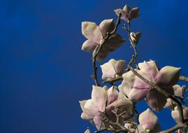 Flowers Sculpture