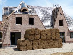 Site New Building