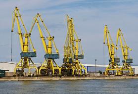 yellow Danube Cranes