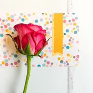 pink rose and card