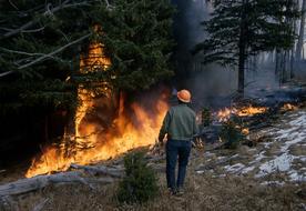man looking at Wildfire in forest