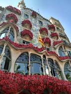 Facade Building Construction and flowes red