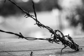 The Depth Of The Prison Wire