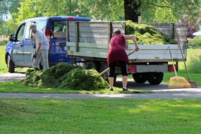 Landscape Gardener people