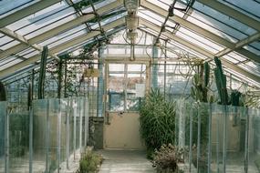 Glasshouse