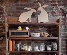 Rabbit Shelf