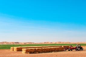 Agro Industry Sky