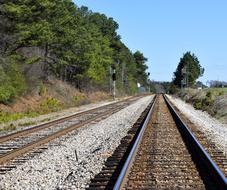 Railroad Tracks and forest