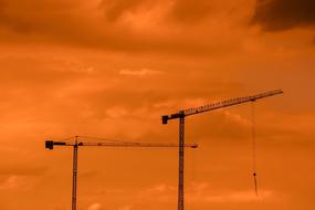 Cranes Sunset Sky orange
