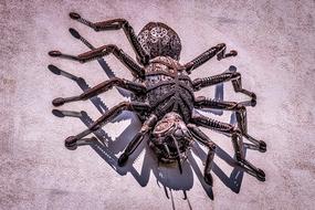 Spider Giant Arachnid drawing