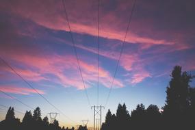 power lines on a background of pink clouds