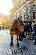 Amsterdam Horse street