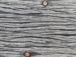 Wood Texture and rusty nails