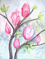 magnolia flowers painting drawing