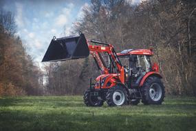 red tractor with a bucket on the field against the background of trees