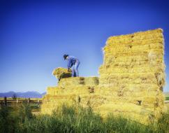 Oregon Farmer