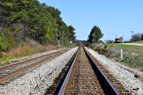 Tracks Railway forest