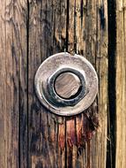 Screw in Wood Metal