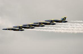 blue angels at the air show in the sky