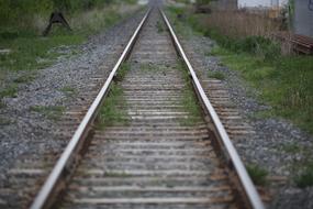 Beautiful railway in green grass in the evening