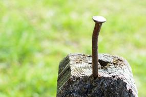 rusty crooked nail in wood close-up on blurred background