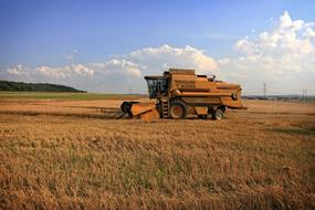 agricultural machinery harvesting wheat