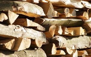 Beautiful firewood pieces, in sunlight