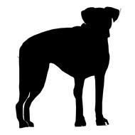 black silhouette of a dog on white