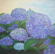 graphic drawing of blue hydrangeas