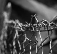 wire fence in blurred background