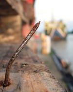 Nail Rust Old close-up on blurred background