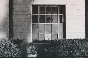 black and white, window frame of an industrial plant