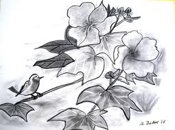 black and white, pencil drawing, bird on a flowering branch