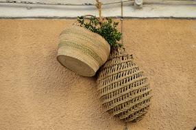 Baskets Of Grass in Esparto