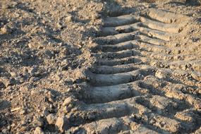 trail of a large tractor on the ground