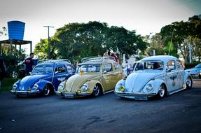 Beautiful and and colorful ,retro Volkswagen beetle cars on the road, near the green trees