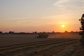 Beautiful landscape of the field among the trees, with the combine harvester, at colorful sunset in Heidelberg, Germany