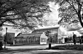 monochrome photo of The Palm House in Gothenburg