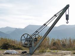 Crane Old Vintage in the mountains