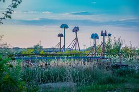 tall green grass on industrial ruins
