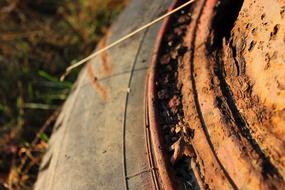 Close-up of the rusty metal wheel, among the colorful plants