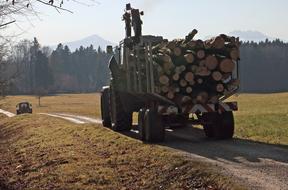 a tractor pulls a log trailer